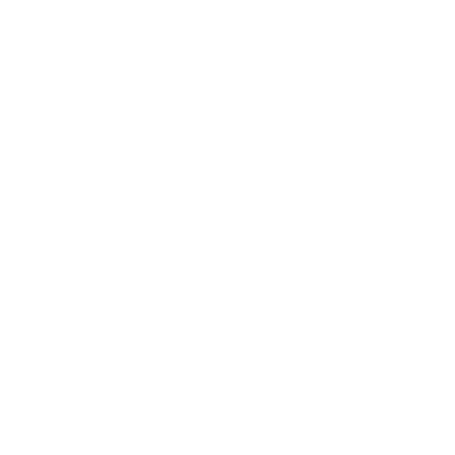 Uroginecologia